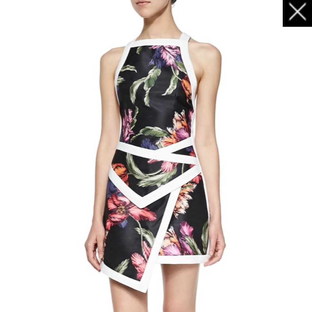 Cameo Printed Mini Dress